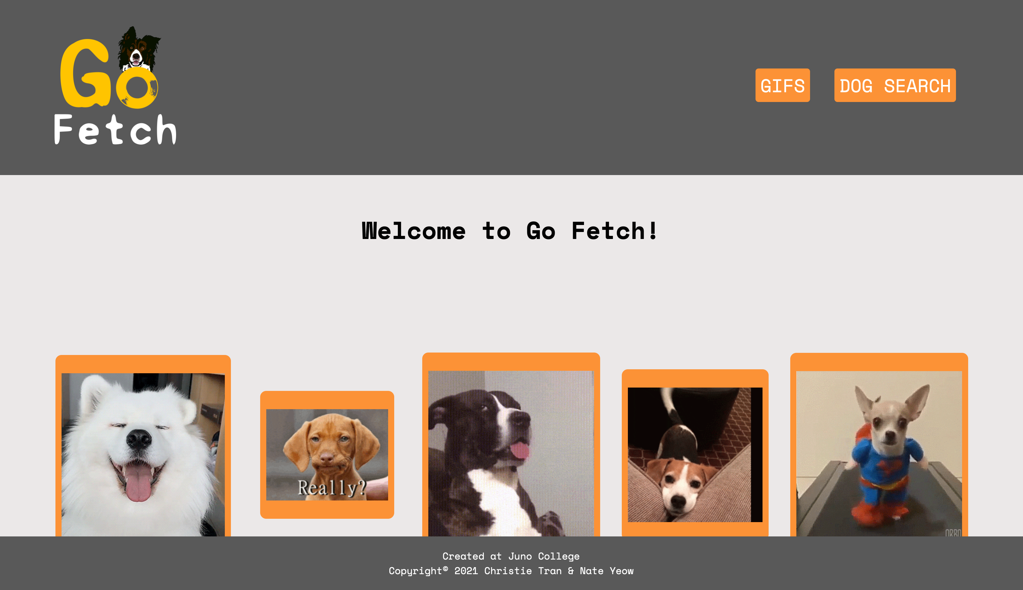 Screen shot of Go Fetch app